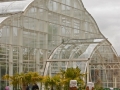 Buildings - Greenhouse2