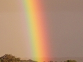 Clouds- Rainbow
