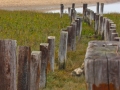 Landscape - Beach