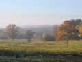 Landscape - Field