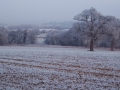 Landscape - Frost